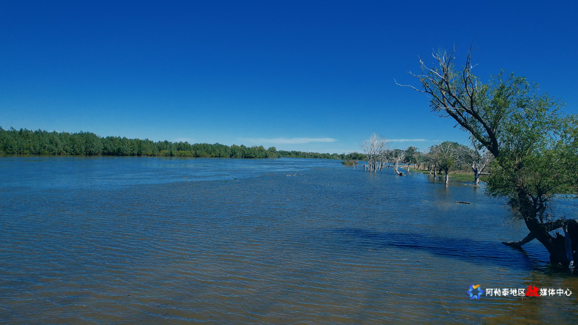 mmexport1748338172149